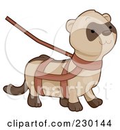 Poster, Art Print Of Cute Ferret On A Harness And Leash