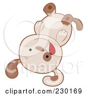 Poster, Art Print Of Cute Puppy Playing Dead
