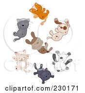 Poster, Art Print Of Cats And Dogs Raining