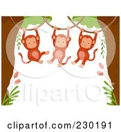 Cute Animal Border Of Hanging Monkeys Around White Space