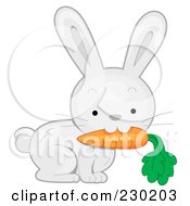 Royalty Free RF Clipart Illustration Of A Cute White Rabbit With A Carrot