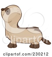 Poster, Art Print Of Cute Ferret In Profile