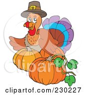 Poster, Art Print Of Thanksgiving Turkey Bird With Pumpkins