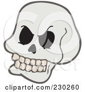 Poster, Art Print Of Skull