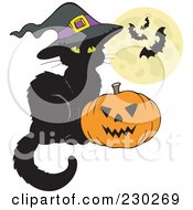 Witch Cat By A Jackolantern With A Full Moon And Bats