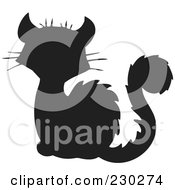 Poster, Art Print Of Black Cat Silhouette