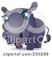 Poster, Art Print Of Cute Blue Eyed Baby Hippo