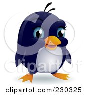 Poster, Art Print Of Cute Blue Eyed Baby Penguin