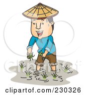 Sweaty Farmer Working In A Rice Paddy