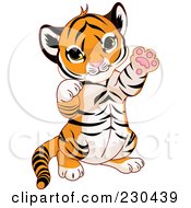 Poster, Art Print Of Cute Baby Tiger Playing