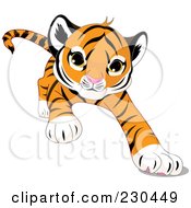 Poster, Art Print Of Cute Baby Tiger Crawling Forward