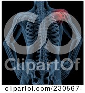 Royalty Free RF Clipart Illustration Of A Male Skeleton With The Shoulder Joint Highlighted On Black