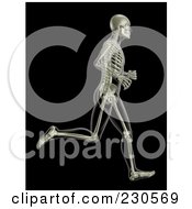 Male Skeleton Running On Black