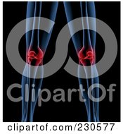 Royalty Free RF Clipart Illustration Of A Skeleton Featuring The Knee Joints