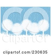 Background Of White Snowball Trees In The Snow Over Blue