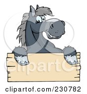 Poster, Art Print Of Happy Gray Horse Looking Over A Blank Wood Sign