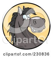 Poster, Art Print Of Happy Gray Horse Face Over A Yellow Circle