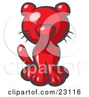 Cute Red Kitty Cat Looking Curiously At The Viewer