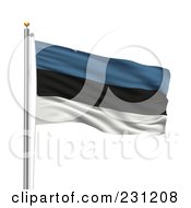 The Flag Of Estonia Waving On A Pole