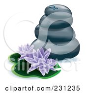 Purple Lotus Flowers And Lily Pads With Stacked Spa Stones