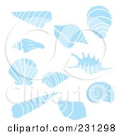 Poster, Art Print Of Digital Collage Of Blue And White Sea Shells