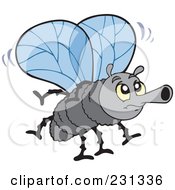 Poster, Art Print Of Grumpy Bly Winged Fly