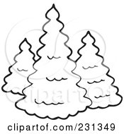 Poster, Art Print Of Coloring Page Outline Of Three Evergreens