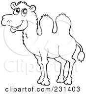 Poster, Art Print Of Coloring Page Outline Of A Camel