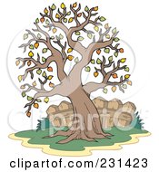 Royalty Free RF Clipart Illustration Of A Fall Tree And Fence