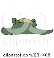 Poster, Art Print Of Dead Alligator With His Legs Up