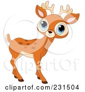 Poster, Art Print Of Cute Little Blue Eyed Deer