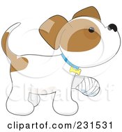Poster, Art Print Of Cute Puppy Dog Walking With A Bandaged Paw