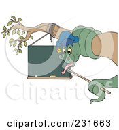 Poster, Art Print Of Professor Snake Coiled Around A Branch And Pointing At A Blank Chalk Board