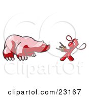 Clipart Illustration Of A Red Man Holding A Stool And Whip While Taming A Bear Bear Market