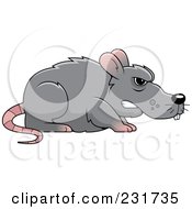Poster, Art Print Of Mean Gray Rat