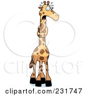 Giraffe With His Neck In A Knot