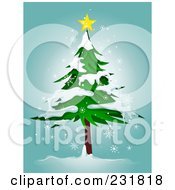 Poster, Art Print Of Star On Top Of A Flocked Evergreen Tree Over Blue