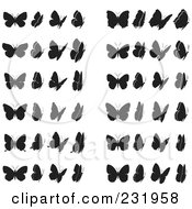 Poster, Art Print Of Digital Collage Of Black And White Butterflies - 1