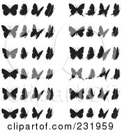 Poster, Art Print Of Digital Collage Of Black And White Butterflies - 2