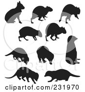 Royalty Free RF Clipart Illustration Of A Digital Collage Of Black And White Meerkats