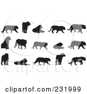 Royalty Free RF Clipart Illustration Of A Digital Collage Of Black And White Big Cats by Frisko