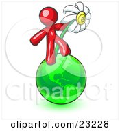 Poster, Art Print Of Red Man Standing On The Green Planet Earth And Holding A White Daisy Symbolizing Organics And Going Green For A Healthy Environment