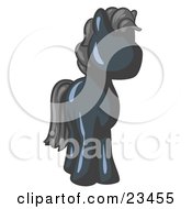 Cute Navy Blue Pony Horse Looking Out At The Viewer