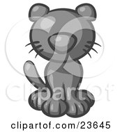 Poster, Art Print Of Cute Gray Kitty Cat Looking Curiously At The Viewer