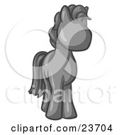 Cute Gray Pony Horse Looking Out At The Viewer