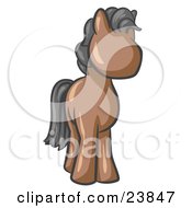 Cute Brown Pony Horse Looking Out At The Viewer