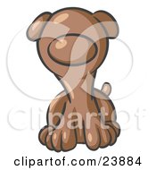 Cute Brown Puppy Dog Looking Curiously At The Viewer