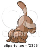 Clipart Illustration Of A Scared Brown Tick Hound Dog Covering His Head With His Front Paws