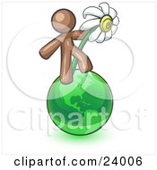 Poster, Art Print Of Brown Man Standing On The Green Planet Earth And Holding A White Daisy Symbolizing Organics And Going Green For A Healthy Environment