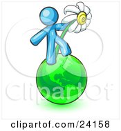 Poster, Art Print Of Light Blue Man Standing On The Green Planet Earth And Holding A White Daisy Symbolizing Organics And Going Green For A Healthy Environment